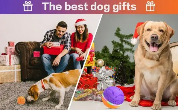 Interactive Shaking Dog Ball