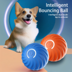 viral-shaky-ball-for-dogs