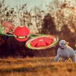 The Doggy Disc Ball