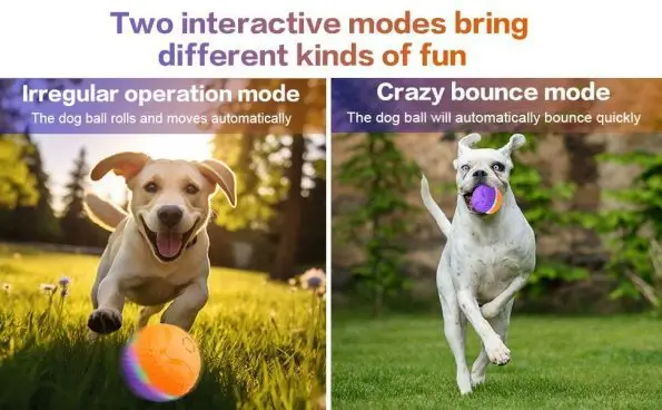 Interactive Shaking Dog Ball