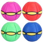 The Doggy Disc Ball