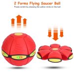 The Doggy Disc Ball