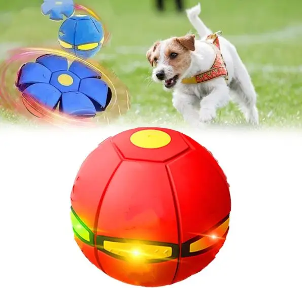 The Doggy Disc Ball