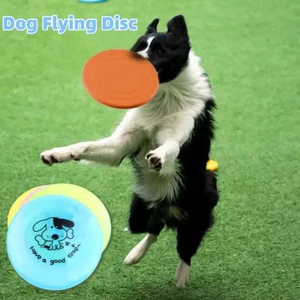Dog Flying Disc (4-Pack) | The Best Training Dog Toy for Every Pup