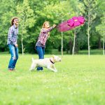 The Doggy Disc Ball