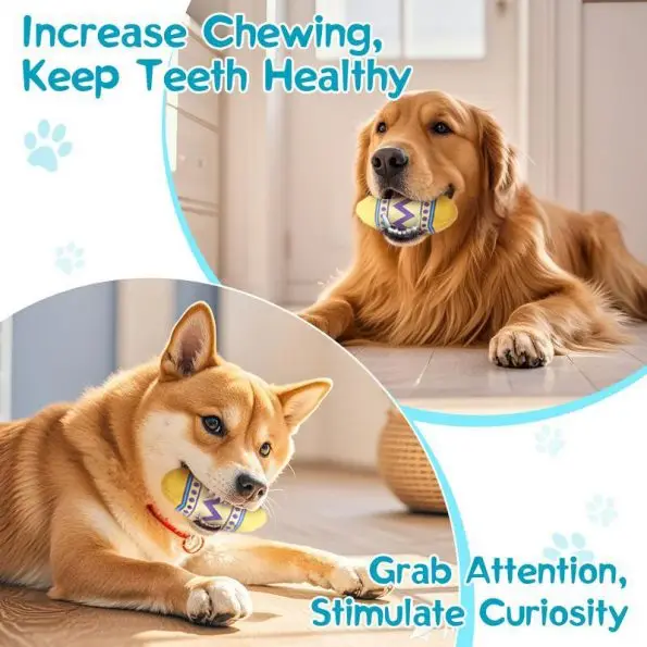 Interactive Dog Egg Ball Toy | Squeaky Dog ball