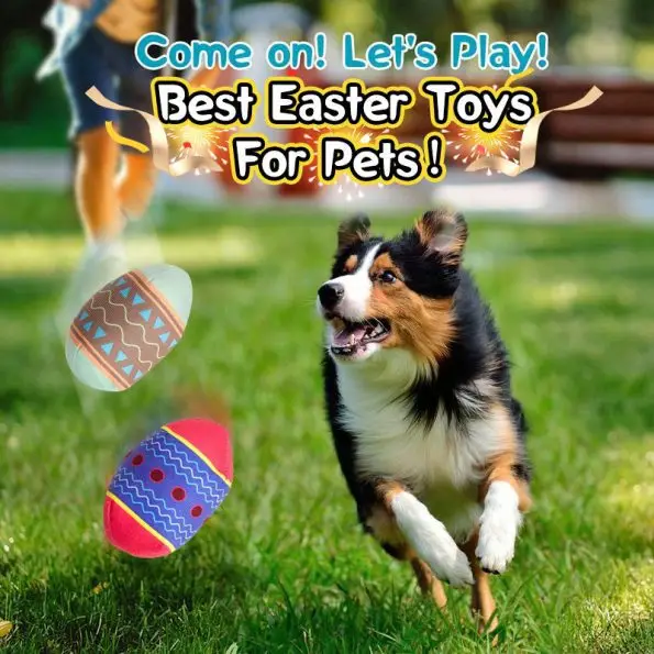 Interactive Dog Egg Ball Toy | Squeaky Dog ball