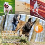 Best Dog Balls for Aggressive Chewers