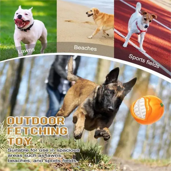 Chew-Resistant Interactive Dog Ball | Squeak Chew Dog Ball