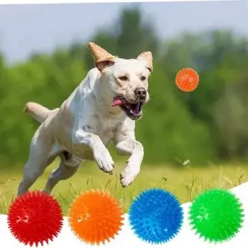 Petizer 3-Pack 3.5” Squeaky Dog Toy Ball – Floating Dog Pool Ball