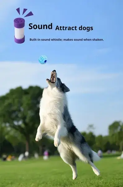 Interactive Sound Dog Ball | Interactive Dog Squeaky Toy