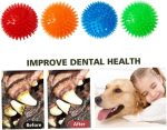Petizer 3-Pack 3.5” Squeaky Dog Toy Ball – Floating Dog Pool Ball
