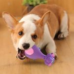 Cute Squeaky Latex Dog Chew Toys