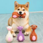 Cute Squeaky Latex Dog Chew Toys (4-Pack) – Interactive Dental Health Biting Toys for Dogs | 50% OFF Today