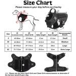 Luxury Durable Dog Harness with Leash Set