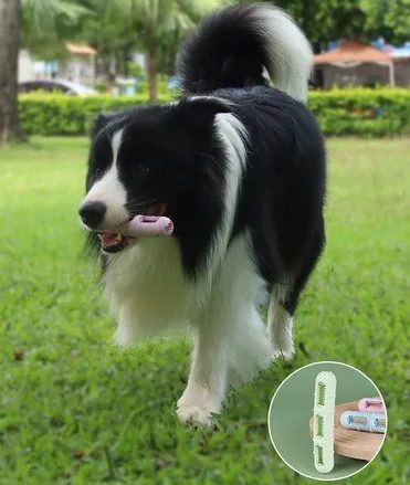 Rubber Crazy Monster Squeaky Dog Toy | Non-Toxic Durable Chew Toy for Aggressive Chewers | 50% OFF Today