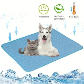 Best Dog Cooling Mats for Summer