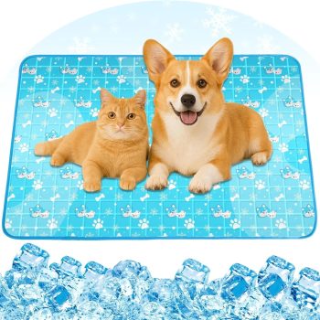 Best Dog Cooling Mats for Summer
