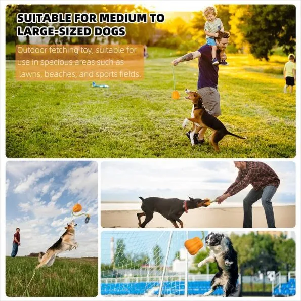 Heavy-Duty Dog Rope Fetch Toy for Aggressive Chewers