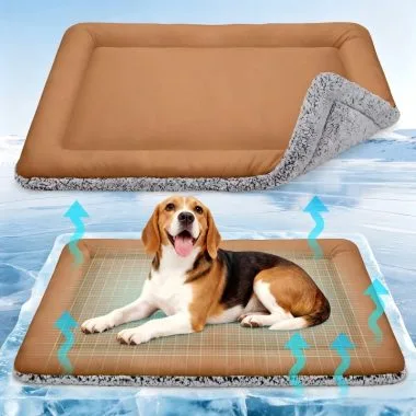 What Is the Best Heat Relief for Dogs? Expert Tips & Cooling Products That Really Work