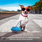 2b2db672-1991-4d4c-b833-2864bb5ca2c3.jpg